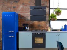 Цветной холодильник на кухне: плюсы и минусы цветной холодильник